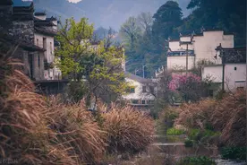 7岁那年春节，我差点把弟弟弄丢了图片