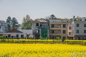 “农村人住上楼，好日子到了头”，为什么会这样说？图片