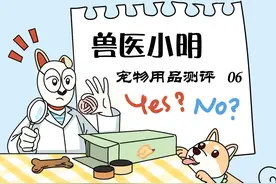 实测宠物智能饮水机，如果价格合适，铲屎官会给自家猫主子使用吗图片