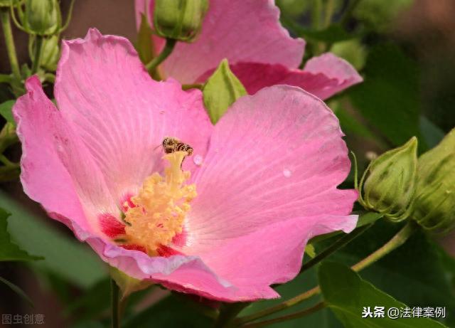 逾期罚息收入，单位逾期支付违法解除劳动合同赔偿金，劳动者还能得到利息吗？ 配图03