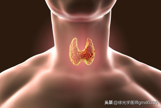 甲状腺的人能吃鱼胶吗 2026年甲状腺的人能吃鱼胶吗百度百科