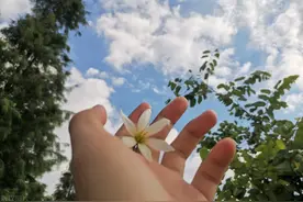 安全感这种东西，一旦破碎，你会觉得所有人都是带刀而来图片