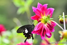 人这辈子，这六个好习惯，坚持下去，你会越活越好图片