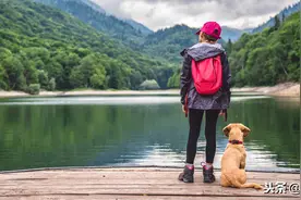 狗狗怎么和人交流？我们该如何与四条腿的朋友沟通？图片