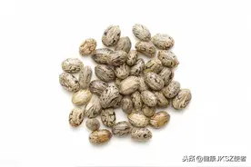 “巴豆”的功效及其应用图片