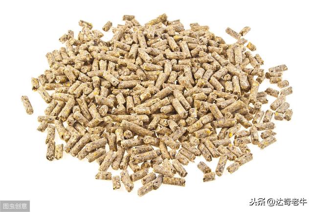 漫谈基础饵：高蛋白颗粒、开口料、能量料的钓鱼选择和避坑技巧