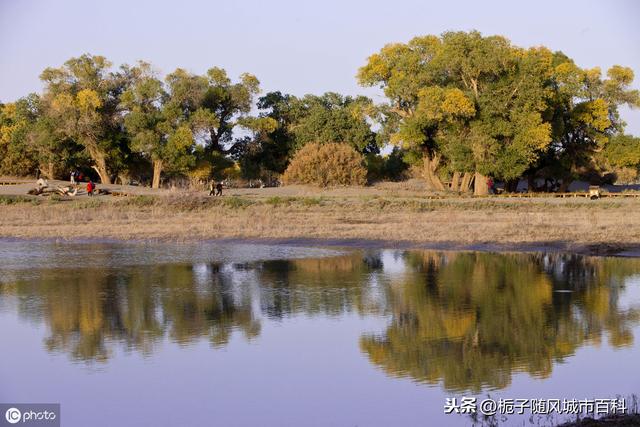 世界十大面积最大城市排名 世界十大面积最大城市排行榜