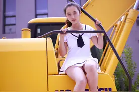 我来告诉你如何进口国外的二手挖掘机到国内图片