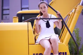 我来告诉你如何进口国外的二手挖掘机到国内图片