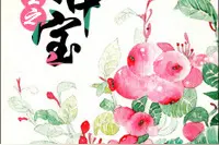 《贫僧宠妻无度》《重生之掌中宝》《军户家的小娇妻》图片