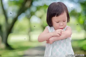 做好防蚊措施，避免出现蚊咬综合征图片