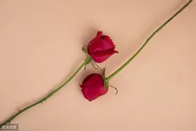 柳州话拾趣图片