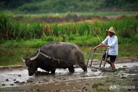 水利部：农村四口之家一年水费200元左右 收费不一刀切图片