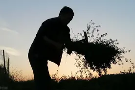 为什么父母总想让你入编？考上之后你才能明白图片