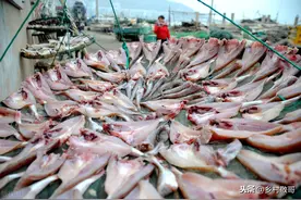 上市20万斤价格跌破30元，养殖户卖不出去，消费者吃不起图片