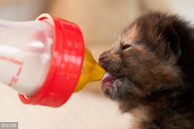 ½èèĪţСèιָϰչСɰ