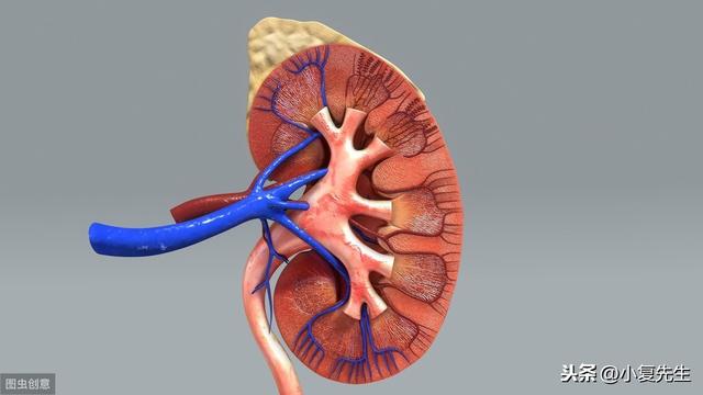 慢性肾衰竭患者的3个饮食疗法，您吃对了吗？