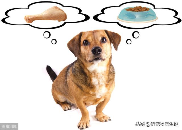 辟谣：营养膏是狗狗每天必需品，兽医：没这些疾病不需要吃营养膏