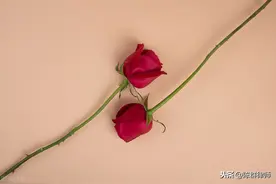 和寡妇同居三个月是重婚罪吗图片