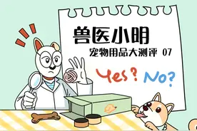 春天宠物掉毛严重，梳子必不可少，那么什么梳子才是适合主子的呢图片