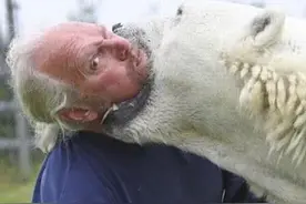 北极熊一口咬向老人，游客吓得惊慌失措，得知真相后却被暖到了图片