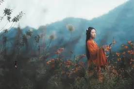故事：她是远近闻名的疯小姐，入宫封妃恩宠不断，皇后都避其锋芒图片