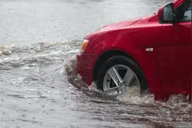车牌被水冲走了？别急着补办！南昌一批车牌待认领图片