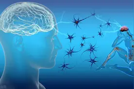 脊髓电刺激治疗慢性意识障碍的综合方案图片