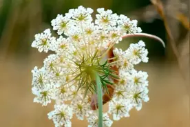 豆瓣9.4，吹爆这些「超级英雄」图片