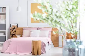 卧室养花有“四忌”，别不当一回事，时间一长害处就显而易见图片