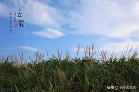 今日立秋，农村俗语“雷打秋冬半收”是啥意思？立秋打雷不好吗？图片