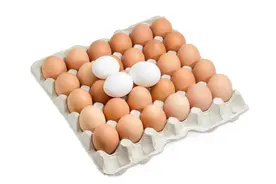 装鸡蛋的托盘别扔了，留在家中用途超棒，好多人不懂，回家找找图片