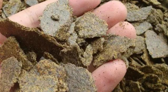 花生麸到底有什么神奇之处？果农十分关注，详细发酵及使用方法