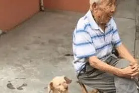大爷和狗坐在一起，邻居看了捂着嘴笑：真不愧是一家人啊图片
