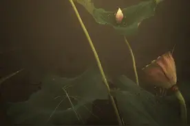 陶勇与酒的故事图片