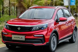 站上巨人的肩膀 试驾2020款枫叶30X图片