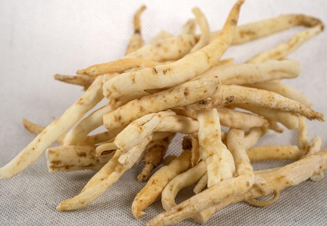 有一味中药是传统五参之一,能养阴清肺,还能养胃