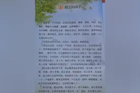 五年级下册语文《祖父的园子》，要怎样学？图片