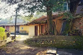 故事：卖牛奇遇图片