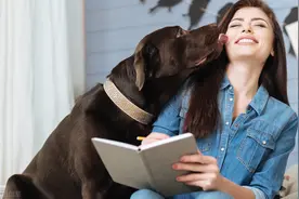 为什么很多女生喜欢养公犬？是因为这7大优势图片