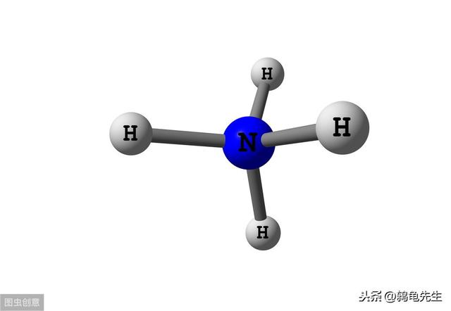 辟谣：水草不能代替硝化细菌处理鱼缸氨氮？其实水草除氨效果更好