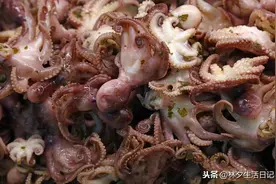 美味的八爪鱼图片