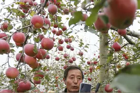近年来中国农村电子商务发展的研究综述图片