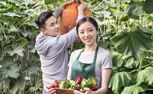 什么是生物刺激素？与激素有什么区别？都有什么作用？