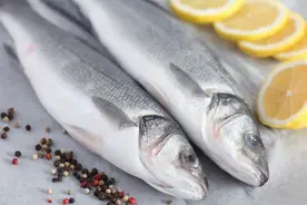 这5种海鱼，便宜美味又鲜嫩，基本上没腥味，懂鱼的行家都直接买图片