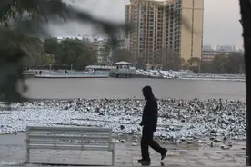 在鹤岗买房的90后广东仔：花5万买房定居后，直播卖房月售十几套，业主都是“逆行”年轻人图片