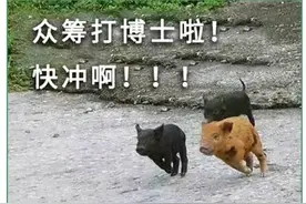 那啥…有人说我是酒店猛狗…这什么意思啊…图片