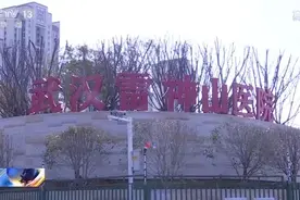辽宁医疗队接管雷神山医院17个病区将全面开放收治图片