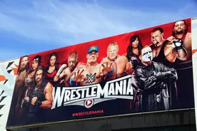 前WWE选手为追求自由做变性手术！雷尔之子多米尼克受大布夸赞图片