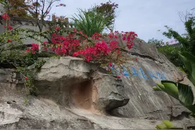 想锻炼，想“吸氧”，重庆照母山公园是你绝佳的选择图片